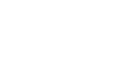 partners who work with bcasino